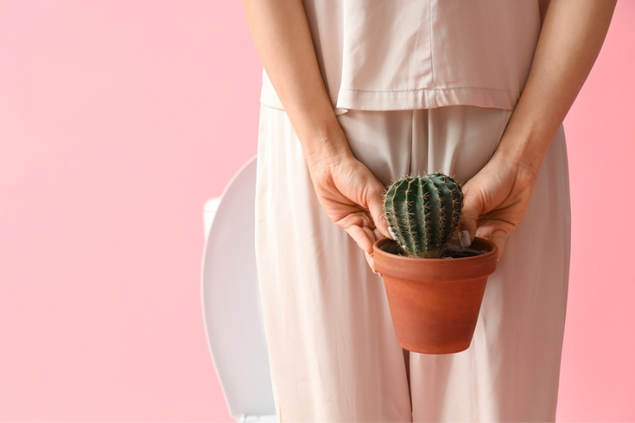 Παθήσεις πρωκτού